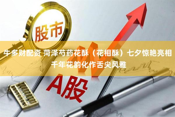 牛多财配资 菏泽芍药花酥（花相酥）七夕惊艳亮相 千年花韵化作舌尖风雅