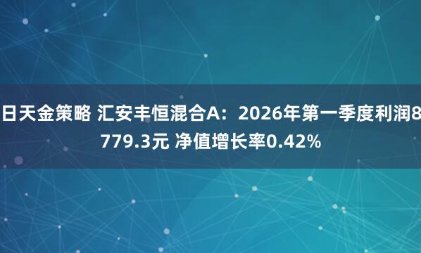 日天金策略 汇安丰恒混合A：2026年第一季度利润8779.3元 净值增长率0.42%