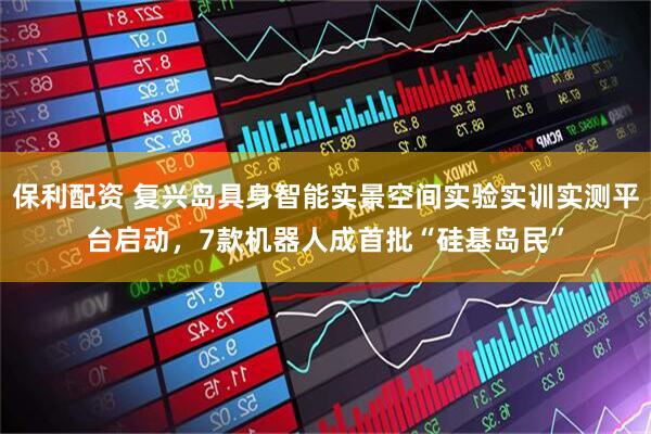 保利配资 复兴岛具身智能实景空间实验实训实测平台启动，7款机器人成首批“硅基岛民”